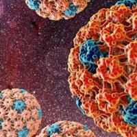 virus-corona-di-china-novel-bamukmin-sebut-karena-kezaliman-terhadap-islam-uighur