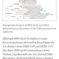 menkes-pastikan-belum-ditemukan-virus-corona-di-indonesia