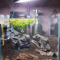 aquascape-for-everyone-learning-and-sharing---part-4