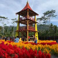 mengunjungi-taman-bunga-pagoda-di-kali-kedua