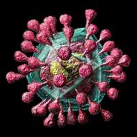 5-tips-jitu-menjaga-daya-tahan-tubuh-dari-virus-corona