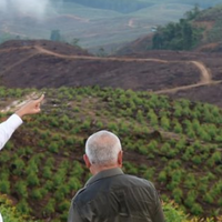 banjir-rendam-sawah-di-ibu-kota-baru-277-siswa-sd-diliburkan