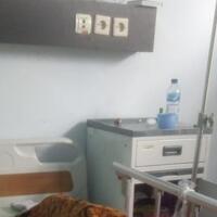 siswi-sd-di-tasikmalaya-yang-depresi-karena-diduga-di-bully-meninggal