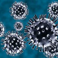 bagaimana-cara-virus-corona-merusak-sel-manusia