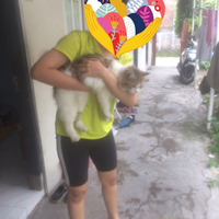 post-image