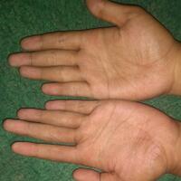 baca-garis-tangan---gratis