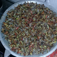 lounge-reg-banyuwangi-edisi-awal-tahun-2020---part-9