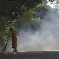 manfaat-menyapu-halaman