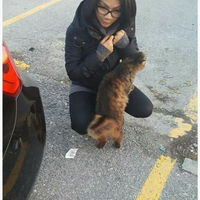 kagum-wanita-ini-kisahkan-hewan-liar-di-turki-melalui-postingan-facebook