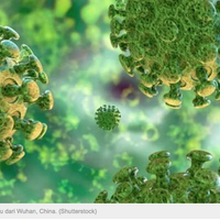 temuan-baru-ilmuwan-china-sebut-virus-corona-bisa-menular-melalui-tinja