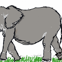 seutas-tali-gajah