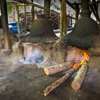 bali-resmi-legalkan-arak-tuak-dan-brem