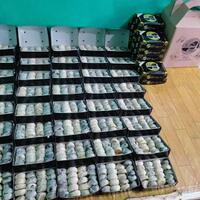 piknik-ke-jogja-jangan-lupa-beli-bakpia-ini-rekomendasi-bakpia-basah-paling-enak