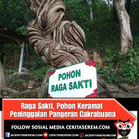 raga-sakti-pohon-keramat-peninggalan-pangeran-cakrabuana