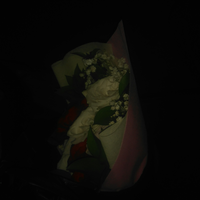 post-image