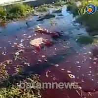 banjir--darah--setelah-gempa-menggegerkan-warga-turki-benarkah-fenomena-biasa