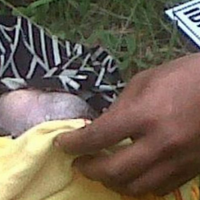 siswi-sma-ditangkap-karena-buang-bayi-hasil-hubungan-sedarah-dengan-adiknya