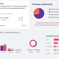 why-you-need-to-consider-instagram-analytics-tools-right-now