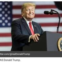 parasite-diejek-presiden-donald-trump-film-apaan-tuh