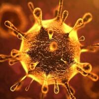 hore-cina-menang-segera-pasarkan-obat-manjur-basmi-corona