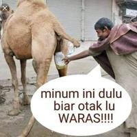 viral-kpai-sebut-wanita-berenang-bareng-laki-laki-bisa-hamil-meski-tak-bersetubuh