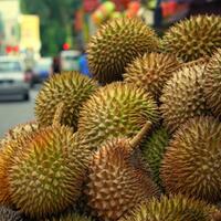 suka-durian-nih-4-rekomendasi-tempat-makan-durian-di-semarang-yang-wajib-dikunjungi