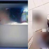 pak-kades-dan-bu-sekdes-foto-mesumnya-tersebar-di-whatsapp