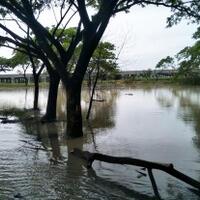 warga-sebut-proyek-tol-cibitung-cilincing-penyebab-banjir