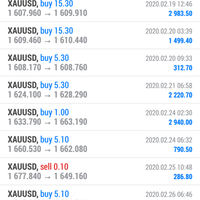 trading-forex-dapat-mobil