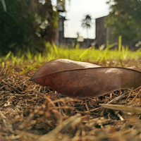 official-lounge-redmi-note-8--redmi-note-8-pro