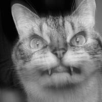 deretan-drama-presenter-uang-kaget-yang-lebaynya-kebangetan-settingan-kah