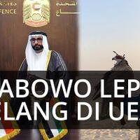 tak-lazim-prabowo-lepas-elang-di-padang-pasir-saat-rapat-dengan-menhan-uea
