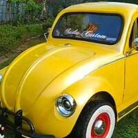 keren-pria-ini-bikin-vw-kodok-dari-mesin-motor