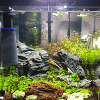 aquascape-for-everyone-learning-and-sharing---part-4