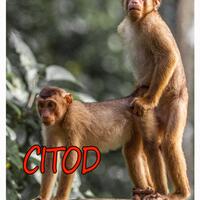 spectre-soccer-room-2019-2020