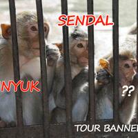 spectre-soccer-room-2019-2020