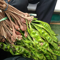 demi-viral-gadis-cantik-ini-makan-kelabang-raksasa