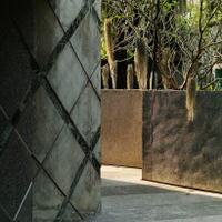 talent-knows-no-handicap