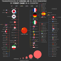 covid-19-peta-penyebaran-kasus-berdasarkan-kasus-pertama-di-setiap-negara