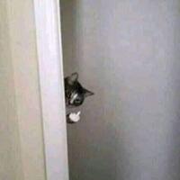 anies-2-pekan-ke-depan-ada-6000-kasus-corona-jika-tak-ditangani-pusat-dengan-serius