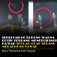sekelompok-burung-warna-putih-mengelilingi-ka-bah-seolah-olah-sedang-melakukan-tawaf