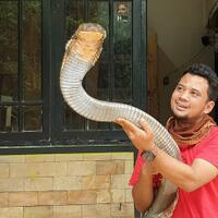 panji-petualang-lepas-king-kobra-garaga-ke-alam-liar-nih-lokasinya