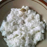 kelaparan-karena-corona-monyet-di-thailan-di-indonesia-monyet-kelaparan-karena