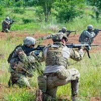 hewan-paling-berharga-di-dunia-dijaga-pasukan-militer-selama-24-jam-nonstop