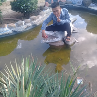 mumpungdirumah-kegiatan-apa-sih-yang-mau-agan-lakukan