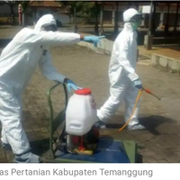 dinkes-temanggung-pinjam-baju-penyemprot-hama-mengapa