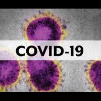 beberapa-orang-yang-pulih-dari-coronavirus