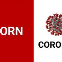 konten-porno-dan-ancaman-virus-corona-kontra-namun-menjadi-teman