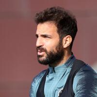 ketika-cesc-fabregas-jadi-orang-terbodoh-di-muka-bumi