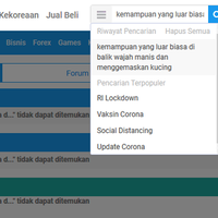 kemampuan-yang-luar-biasa-di-balik-wajah-manis-dan-menggemaskan-si-kucing